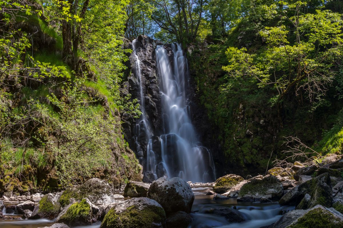 Cantal #3